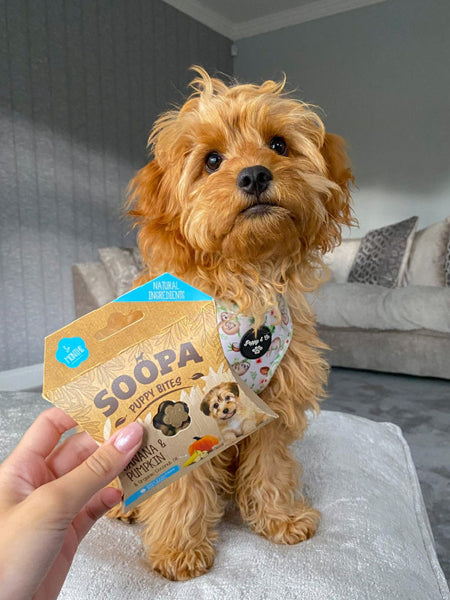 soopa-friandise-naturelles-chien-dog-treat-chiot-banane-citrouille