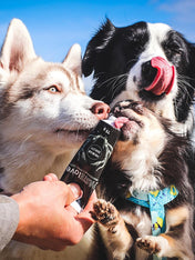 syta-micha-friandise-patee-en-tube-education-pour-chien-canard-citrouille