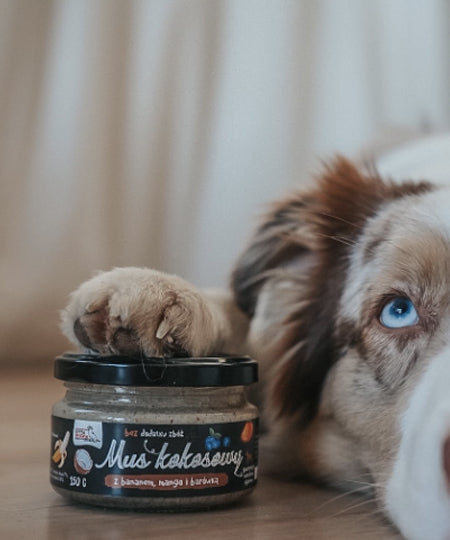 syta-micha-pate-a-tartiner-mousse-de-coco-banana-mango-myrtille