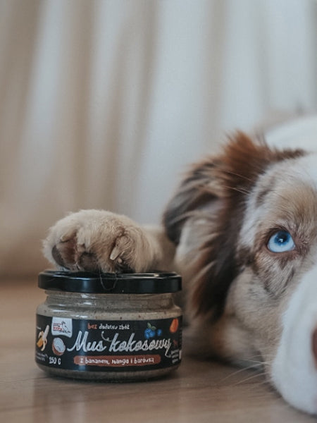 syta-micha-pate-a-tartiner-mousse-de-coco-banana-mango-myrtille