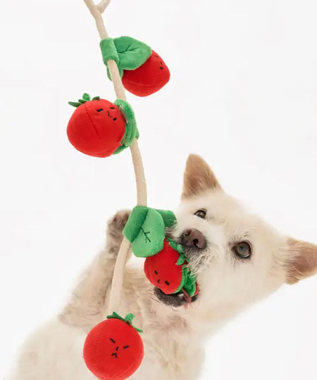 the-furry-folks-jouet-de-fouille-puzzle-interactif-pour-chien-CherryTomato-nose-work-tug