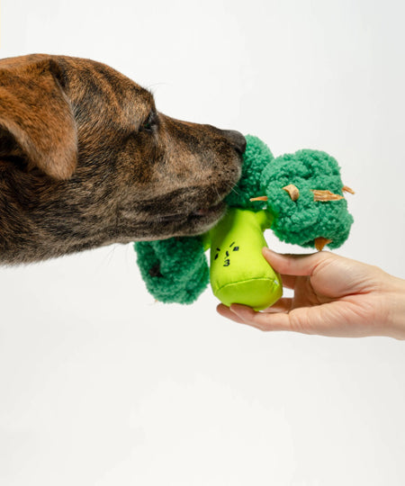 the-furry-folks-jouet-de-fouille-puzzle-interactif-pour-chien-brocoli