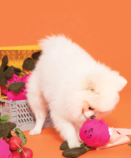 the-furry-folks-jouet-de-fouille-puzzle-interactif-pour-chien-radis