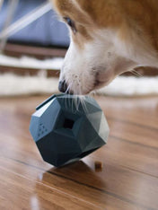 up-dog-jouet-interactif-distributeur-friandises-pour-chein-the-odin-noir