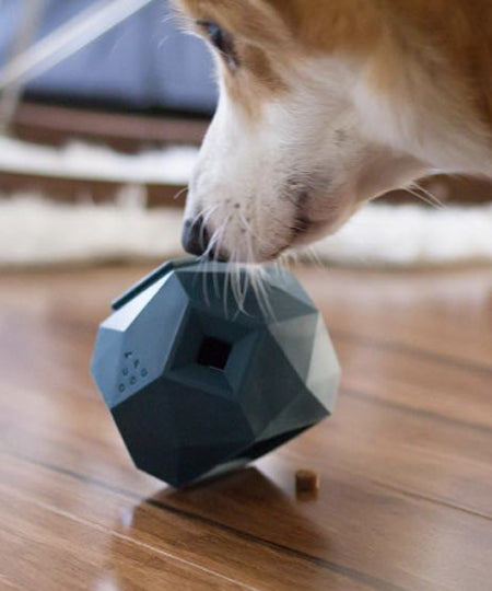 up-dog-jouet-interactif-distributeur-friandises-pour-chein-the-odin-noir