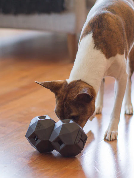 up-dog-jouet-interactif-distributeur-friandises-pour-chein-the-odin-noir