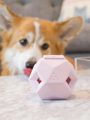 up-dog-jouet-interactif-distributeur-friandises-pour-chein-the-odin-rose