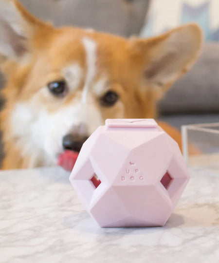 up-dog-jouet-interactif-distributeur-friandises-pour-chein-the-odin-rose