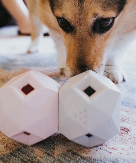 up-dog-jouet-interactif-distributeur-friandises-pour-chein-the-odin-gris