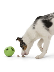 west-paw-Rumbl-jouet-ecologique-naturel-pour-chien-resistant