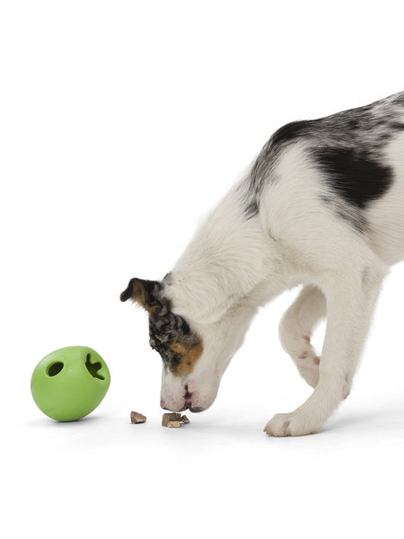 west-paw-Rumbl-jouet-ecologique-naturel-pour-chien-resistant
