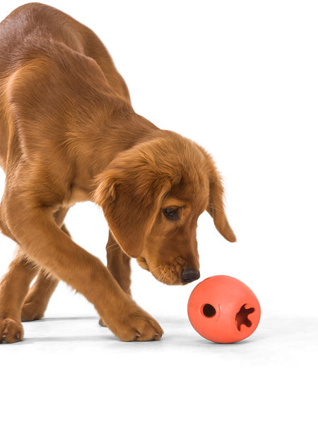 west-paw-Rumbl-jouet-ecologique-naturel-pour-chien-resistant-orange