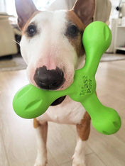 west-paw-SKAMP-jouet-a-lancer-ecologique-naturel-pour-chien-vert