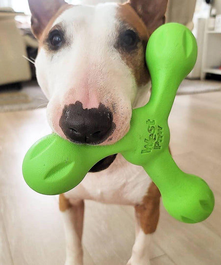 west-paw-SKAMP-jouet-a-lancer-ecologique-naturel-pour-chien-vert