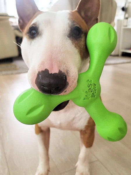 west-paw-SKAMP-jouet-a-lancer-ecologique-naturel-pour-chien-vert