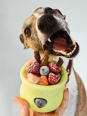 west-paw-Toppl-jouet-a-garnir-fourrer-ecologique-naturel-pour-chien-vert