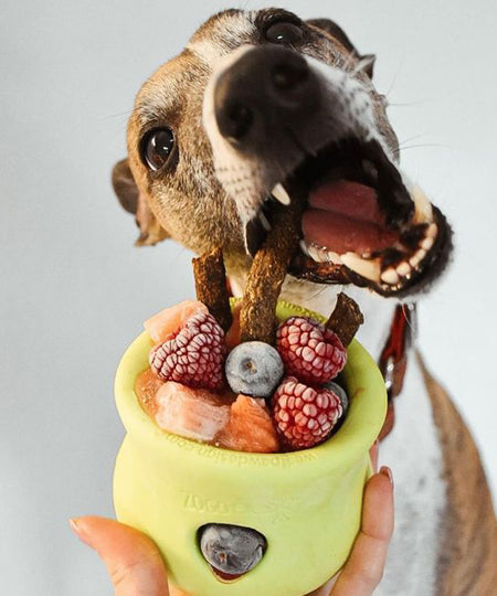 west-paw-Toppl-jouet-a-garnir-fourrer-ecologique-naturel-pour-chien-vert