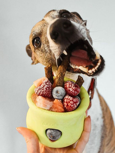 west-paw-Toppl-jouet-a-garnir-fourrer-ecologique-naturel-pour-chien-vert
