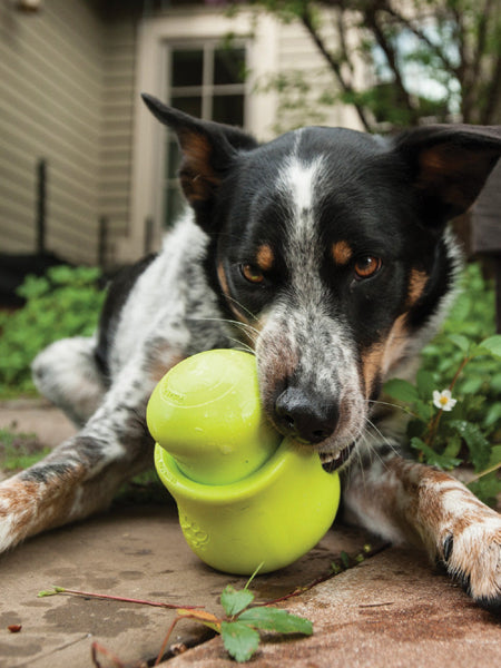 west-paw-Toppl-jouet-a-garnir-fourrer-ecologique-naturel-pour-chien-vert