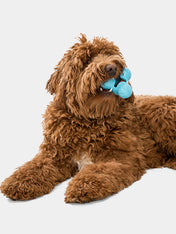 west-paw-Tux-jouet-a-garnir-fourrer-ecologique-naturel-pour-chien-bleu