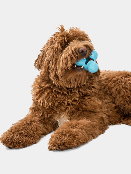 west-paw-Tux-jouet-a-garnir-fourrer-ecologique-naturel-pour-chien-bleu