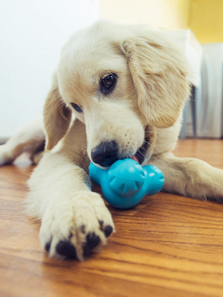 west-paw-Tux-jouet-a-garnir-fourrer-ecologique-naturel-pour-chien-bleu