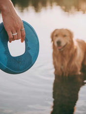 west-paw-frisbee-sailz-chien-ecologique-bleu