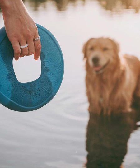 west-paw-frisbee-sailz-chien-ecologique-bleu