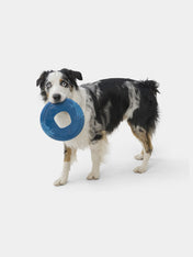 west-paw-frisbee-sailz-chien-ecologique-bleu