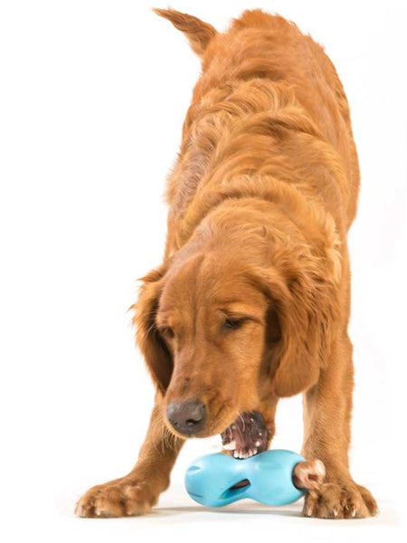 west-paw-jouet-ecologique-naturel-chien-qwizl-zogoflex-puzzle-interactif