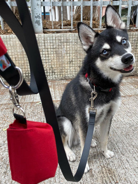 Wildebeest-distributeur-sac-a-crottes-pour-chien-rouge