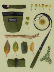 wildebeest-accessoires-pour-chien-vert