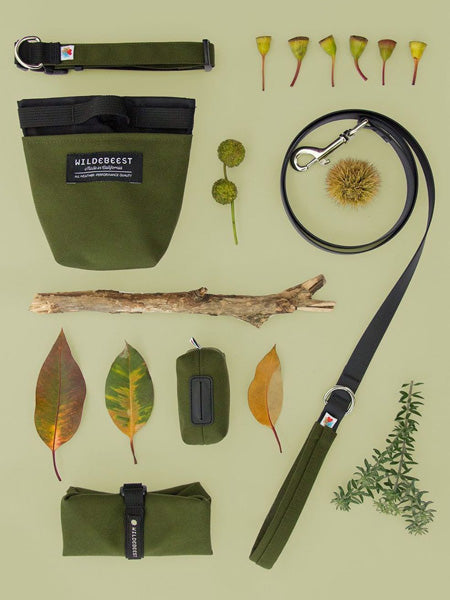wildebeest-accessoires-pour-chien-vert