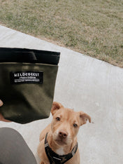 wildebeest-sac-de-friandises-vert-pour-chien