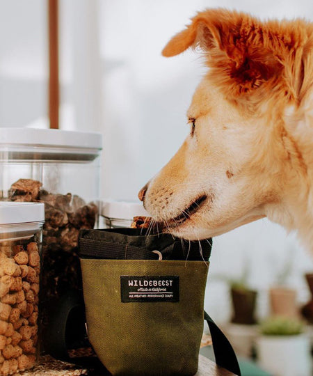 wildebeest-sac-de-friandises-vert-pour-chien