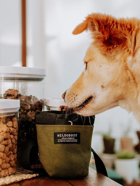 wildebeest-sac-de-friandises-vert-pour-chien