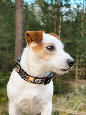 woolywolf-collier-design-pour-chien-woodland