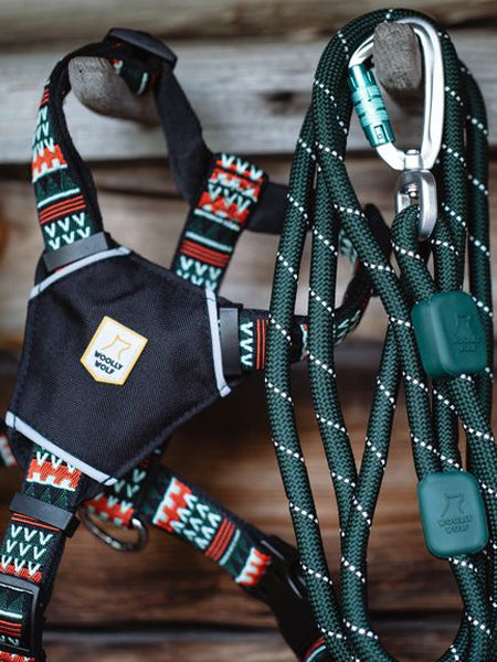 woolywolf-harnais-design-pour-chien-woodland