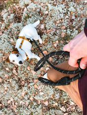 woolywolf-laisse-design-pour-chien-black-raven