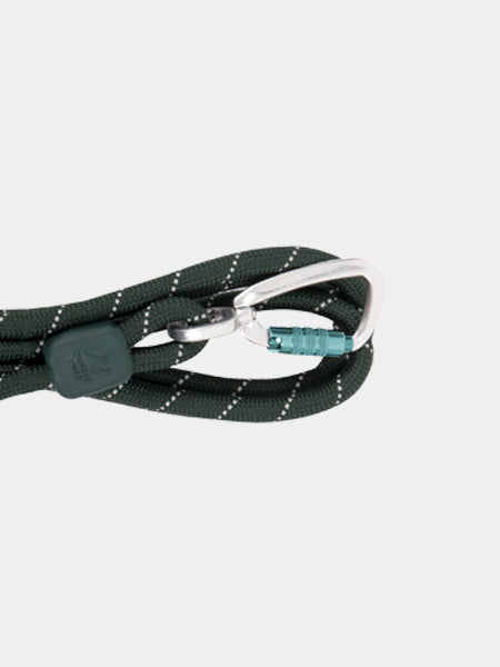 woolywolf-laisse-vert-foret-design-pour-chien-evergreen