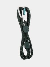 woolywolf-laisse-vert-foret-design-pour-chien-evergreen