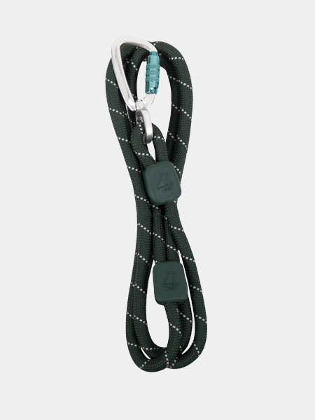 woolywolf-laisse-vert-foret-design-pour-chien-evergreen