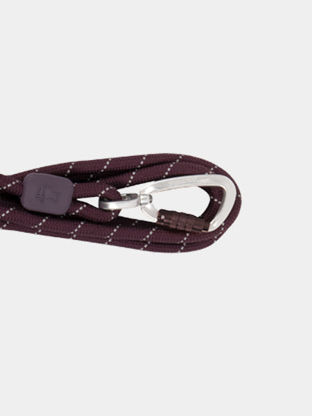 woolywolf-laisse-violette-design-pour-chien-juicy-plum