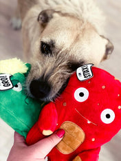 zee-dog-alien-flex-peluche-pour-chien-stixx