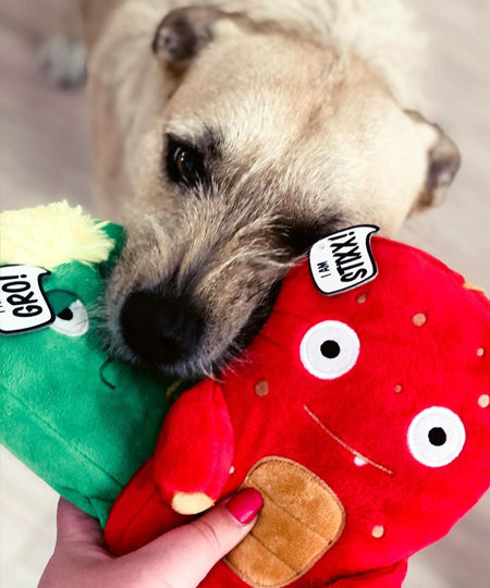 zee-dog-alien-flex-peluche-pour-chien-stixx