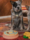    zippy-paws-Smarty-paw-jouet-puzzle-enrichissement-pour-chien-wagging-wheel