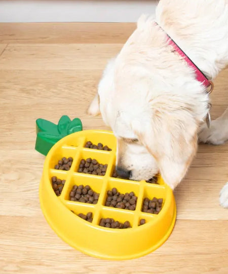 zippy-paws-gamelle-anti-glouton-pour-chien-ananas