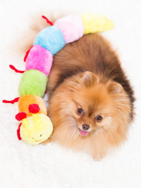 zippy-paws-peluche-pour-chien-Caterpillar-7-squeakers