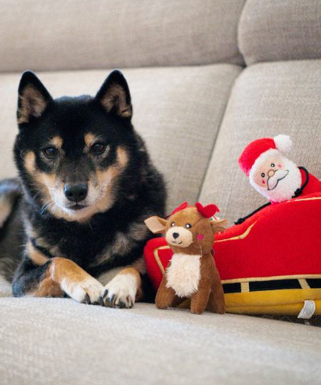 zippy-paws-peluche-pour-chien-Holiday-Burrow-Santa_s-Sleigh