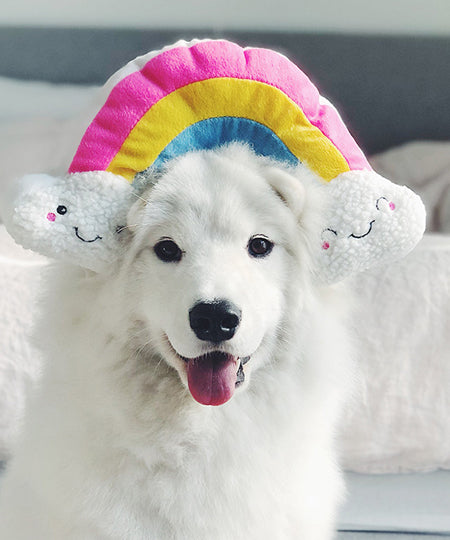 zippy-paws-peluche-pour-chien-arc-en-ciel